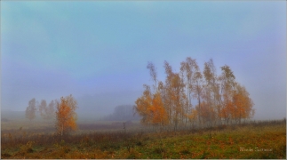 <p>Šluknovsko - Království</p>